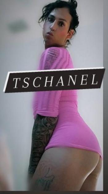 9414676218, transgender escort, Sarasota